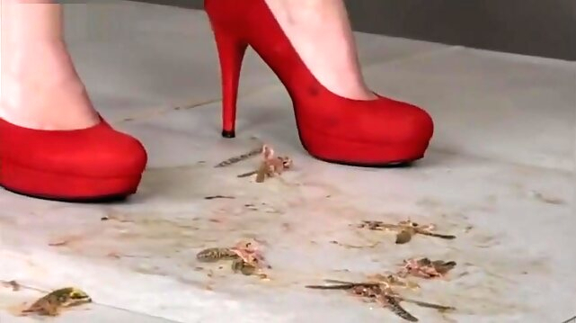 foot fetish Sexy Bella crushing bugs with her red high heels. fetish videos